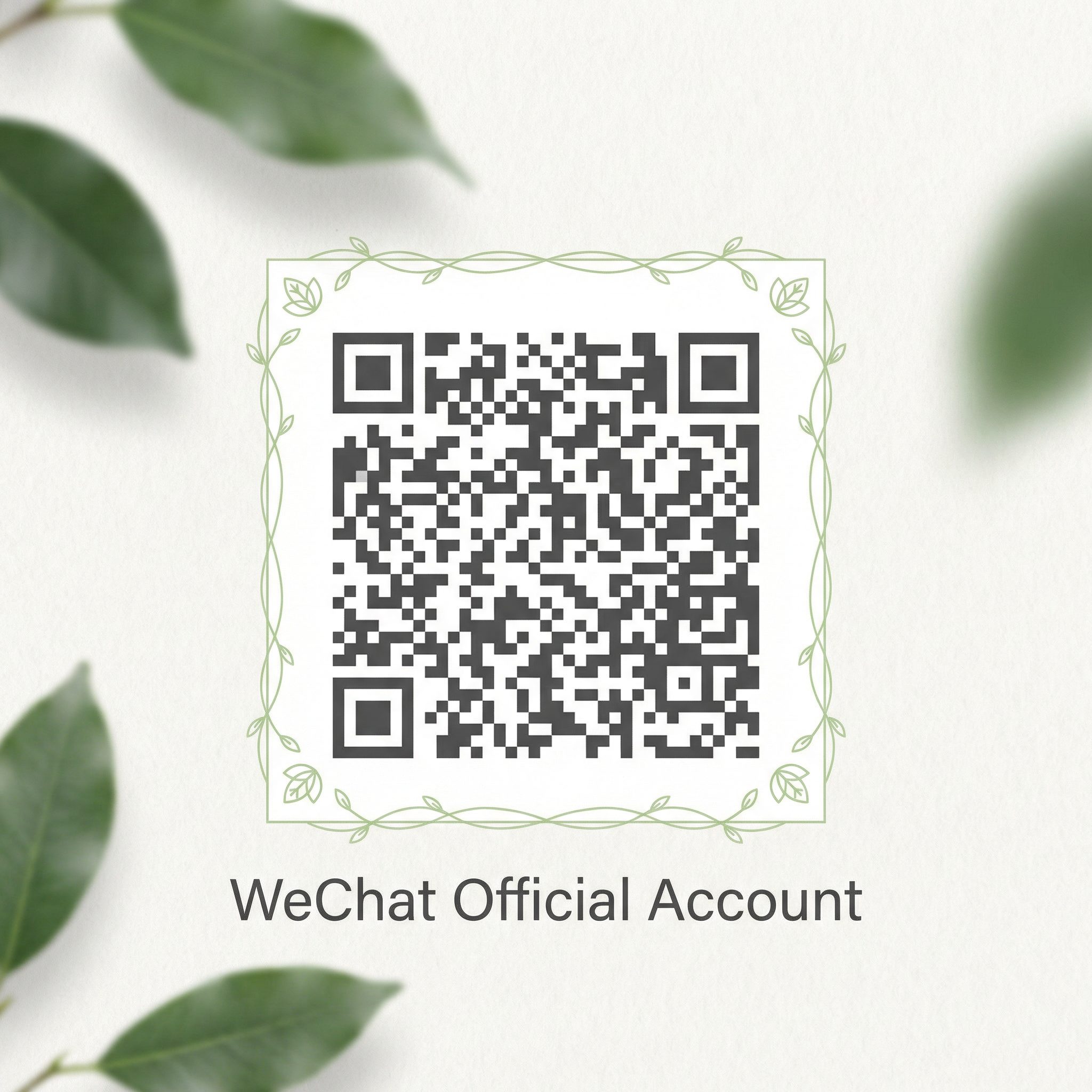 熟女人妻公众号二维码